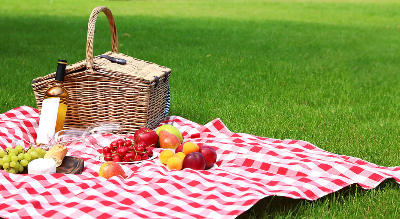  PicnicDay Free Download