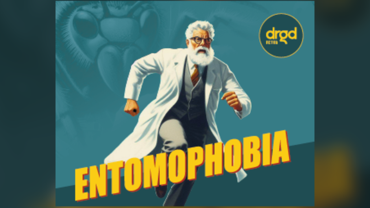 Entomophobia