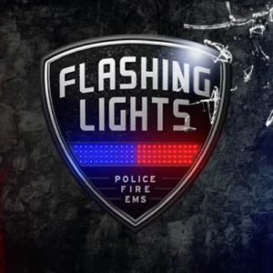 Flashing Lights Police Firefighting EMS PC Game