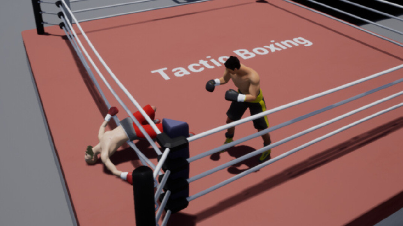 Tactic Boxing pc